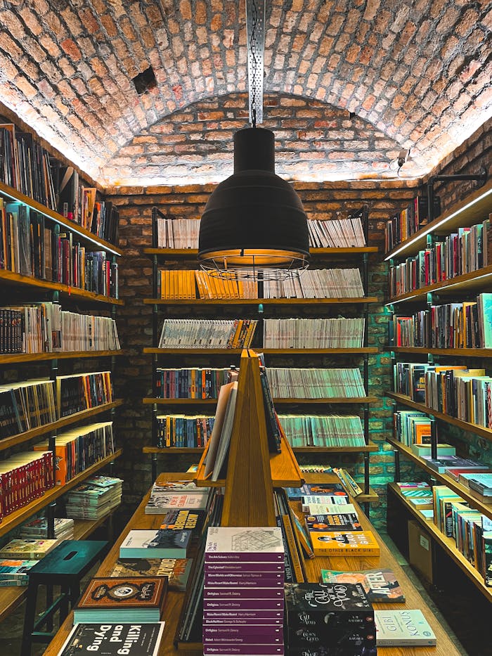 A cozy bookstore featuring Gothic architecture with brick arches and a warm ambiance.