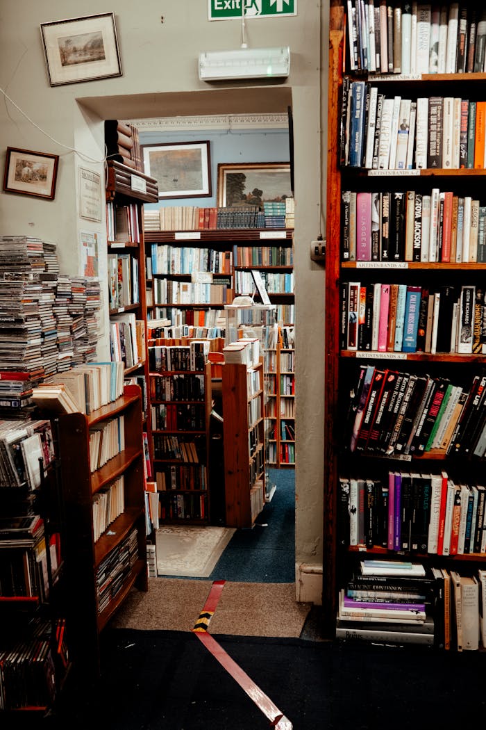 A quaint bookstore filled with books and vintage decor, offering a warm and inviting atmosphere.
